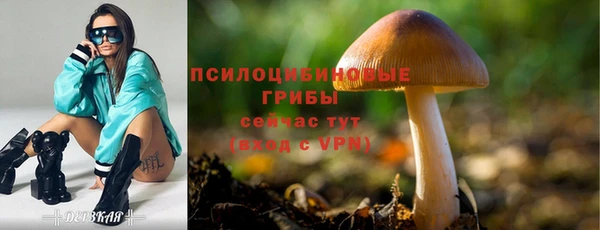 2c-b Лиски