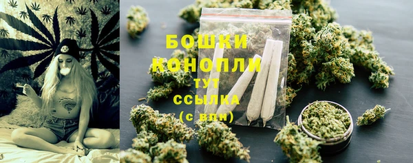 спайс Лагань
