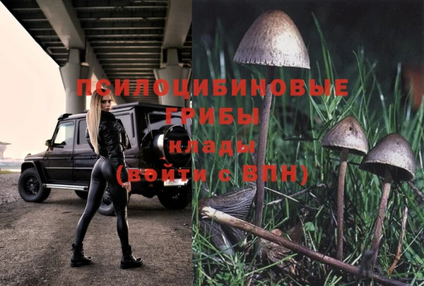 бутират Ладушкин