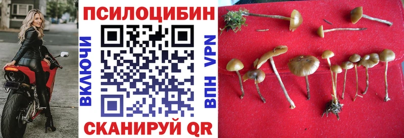 Псилоцибиновые грибы мицелий  где найти наркотики  мега tor  Лангепас 